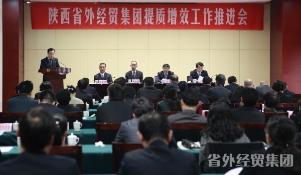 集团公司召开提质增效事情推进会-bevictor伟德官网