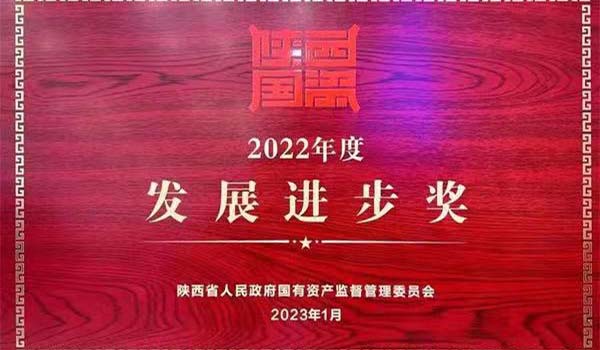 bevictor伟德官网集团荣获陕西省国资系统2022年度“生长前进奖”
